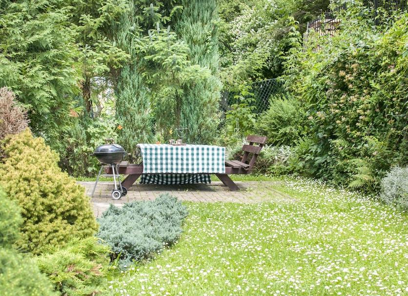 Patio Zdjęcie