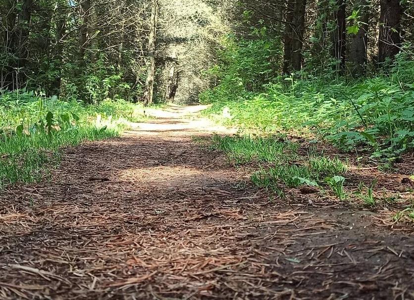 Widok na zewnątrz Zdjęcie