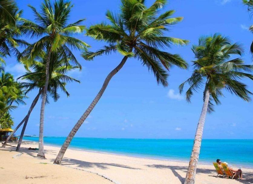Plaża Zdjęcie