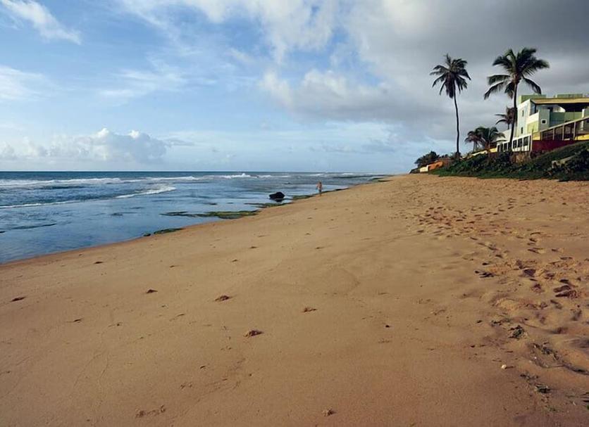 Plaża Zdjęcie