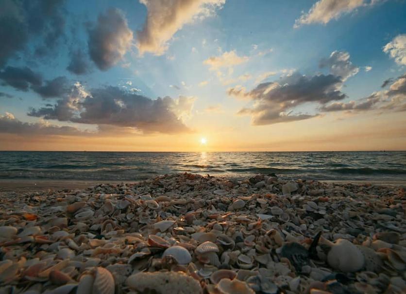 Plaża Zdjęcie