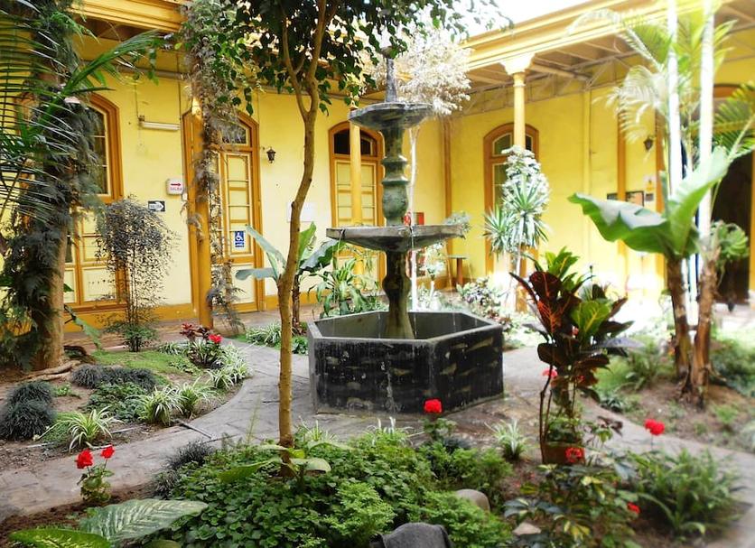 Patio Zdjęcie