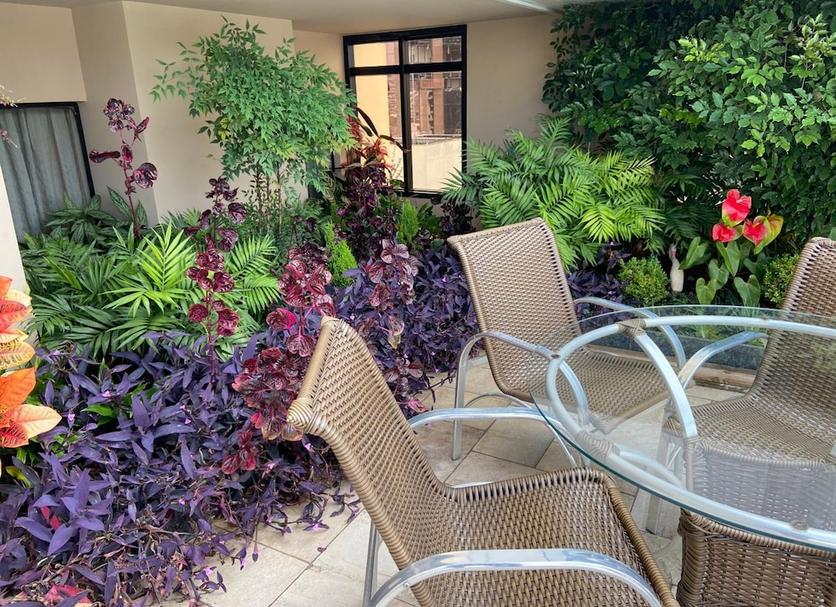 Patio Zdjęcie