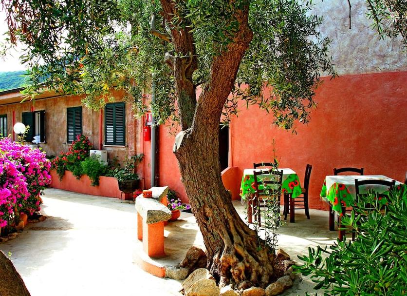 Patio Zdjęcie