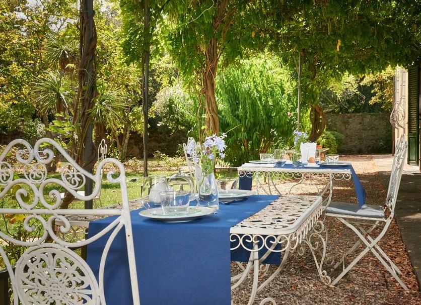 Patio Zdjęcie