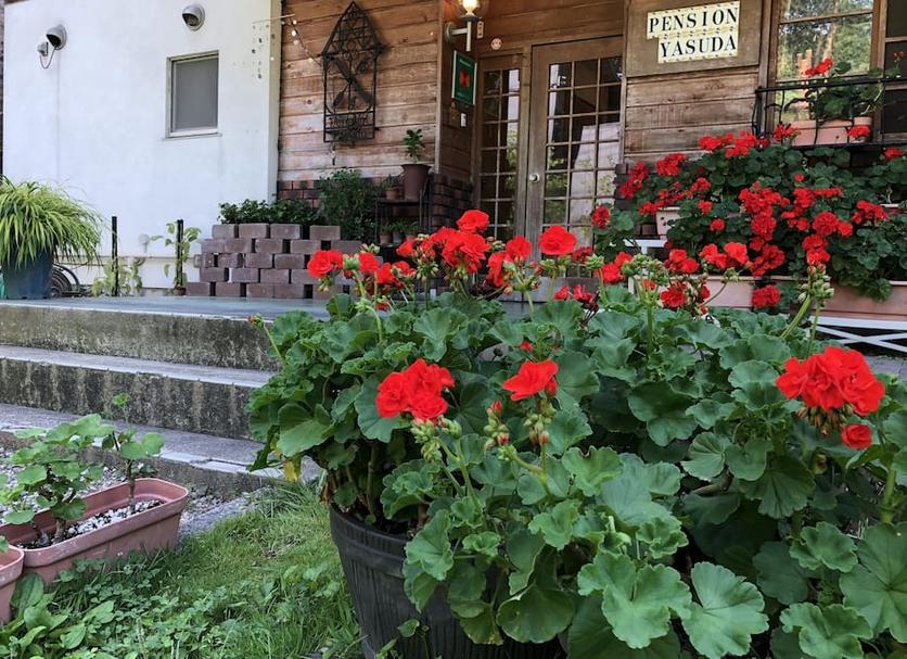 Widok na zewnątrz Zdjęcie