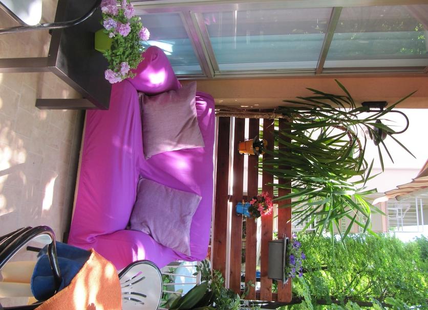Patio Zdjęcie