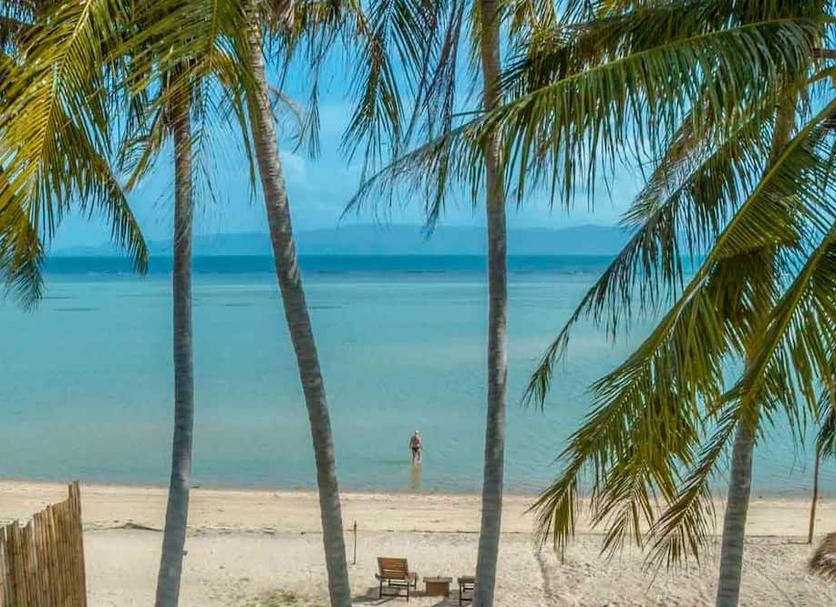 Plaża Zdjęcie