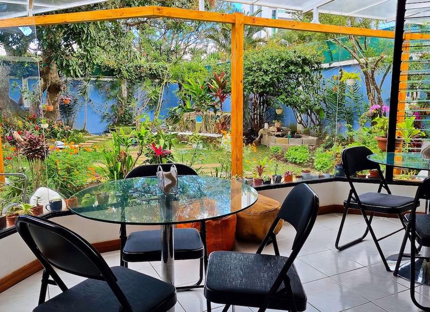 Patio Zdjęcie