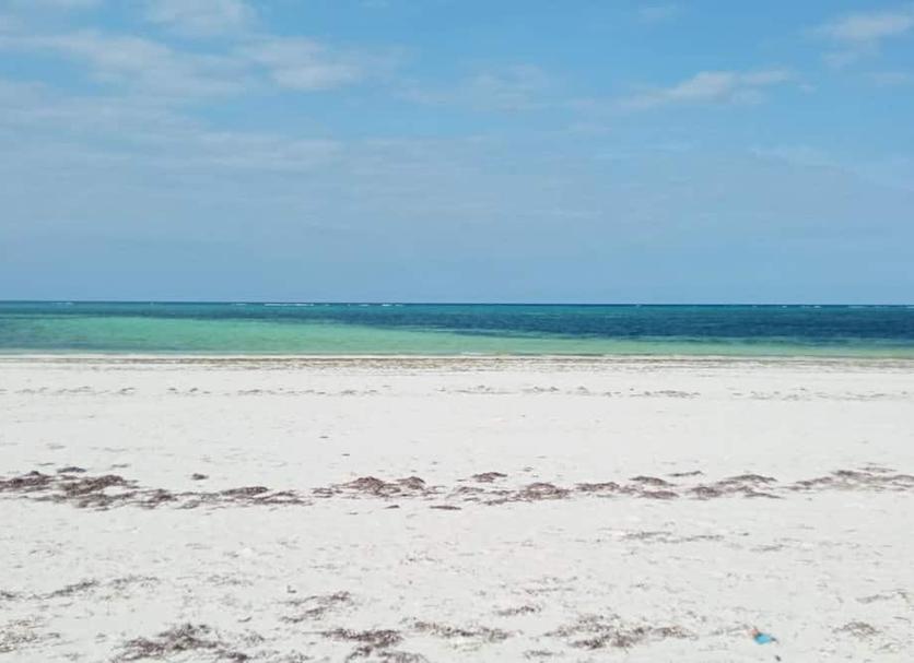 Plaża Zdjęcie