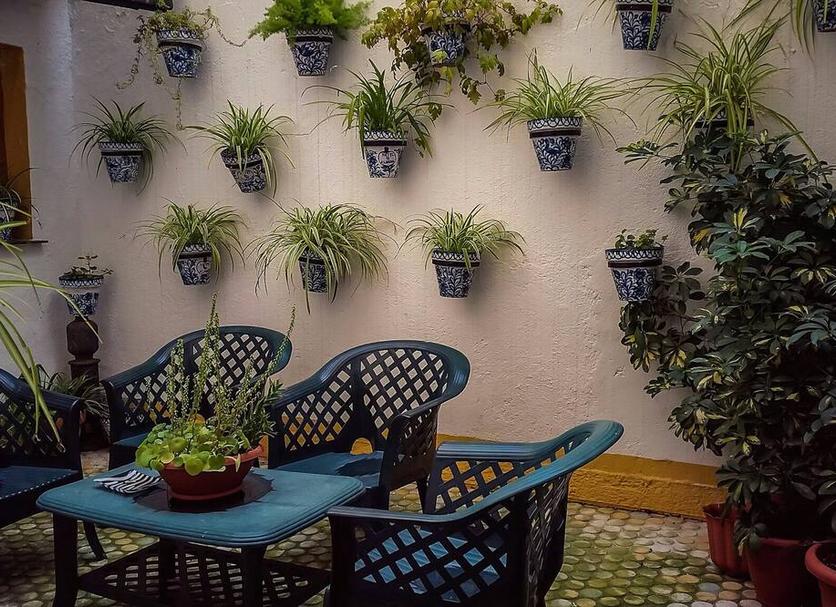 Patio Zdjęcie