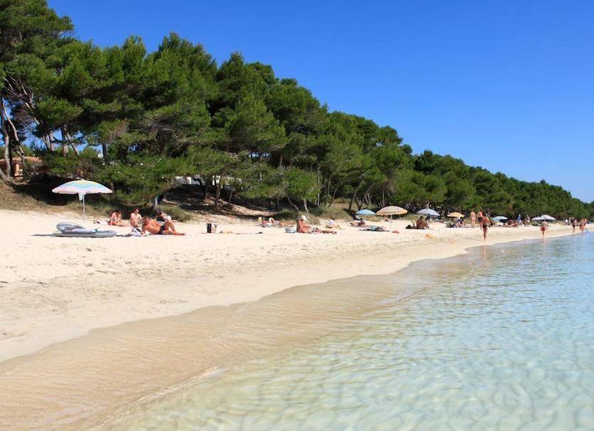 Plaża Zdjęcie