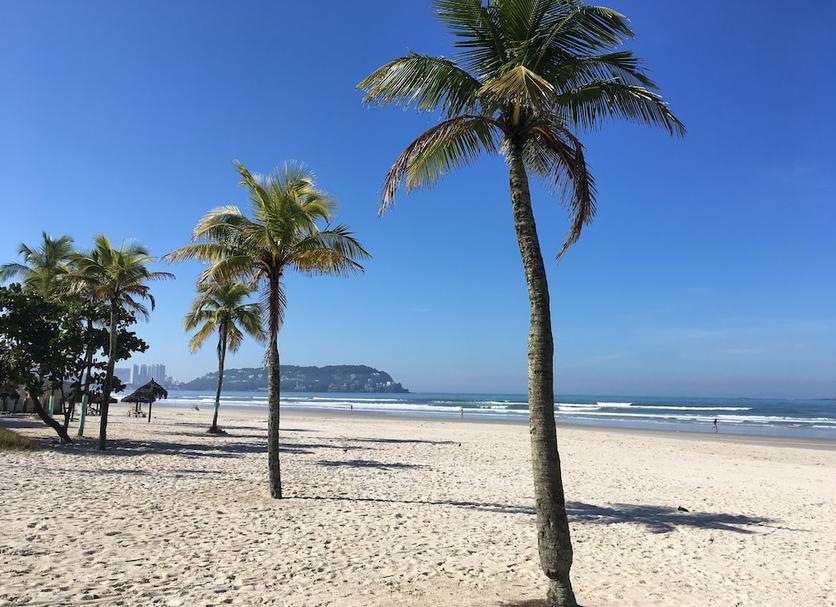 Plaża Zdjęcie