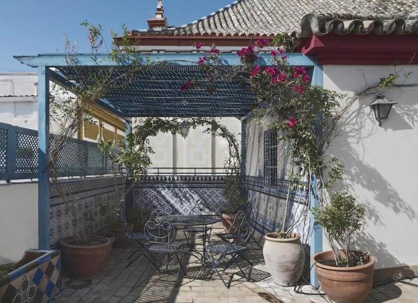 Patio Zdjęcie