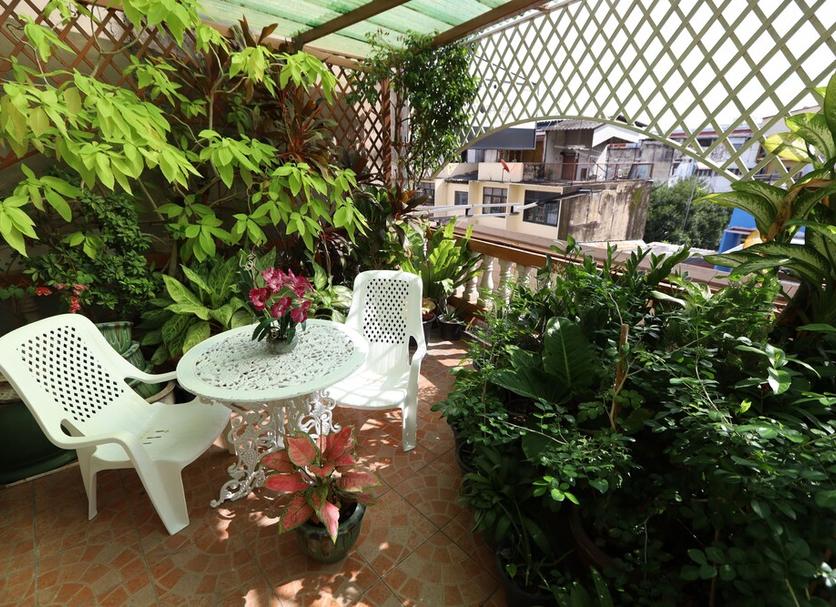 Patio Zdjęcie
