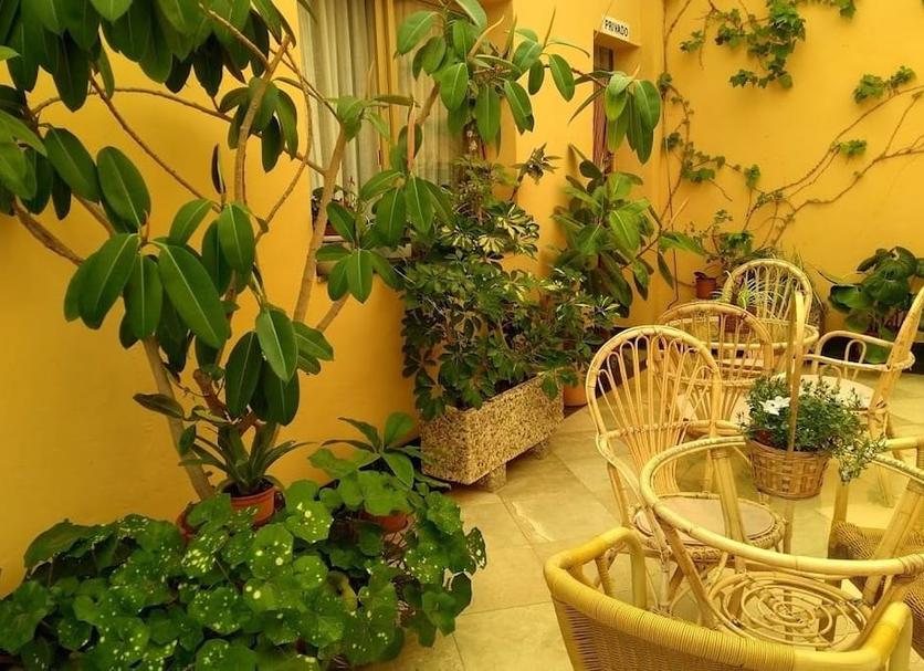 Patio Zdjęcie
