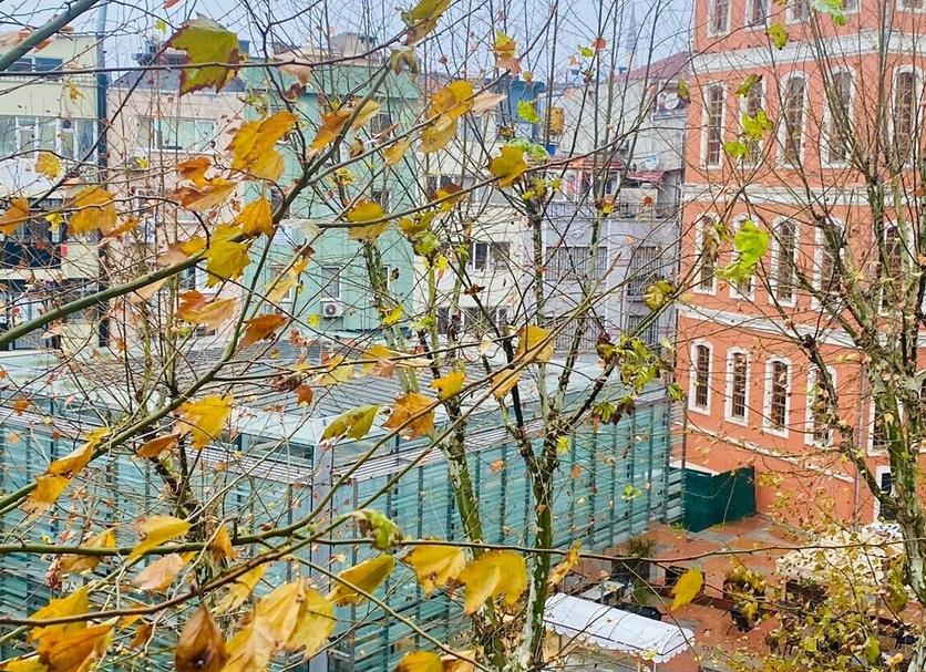 Widok na zewnątrz Zdjęcie
