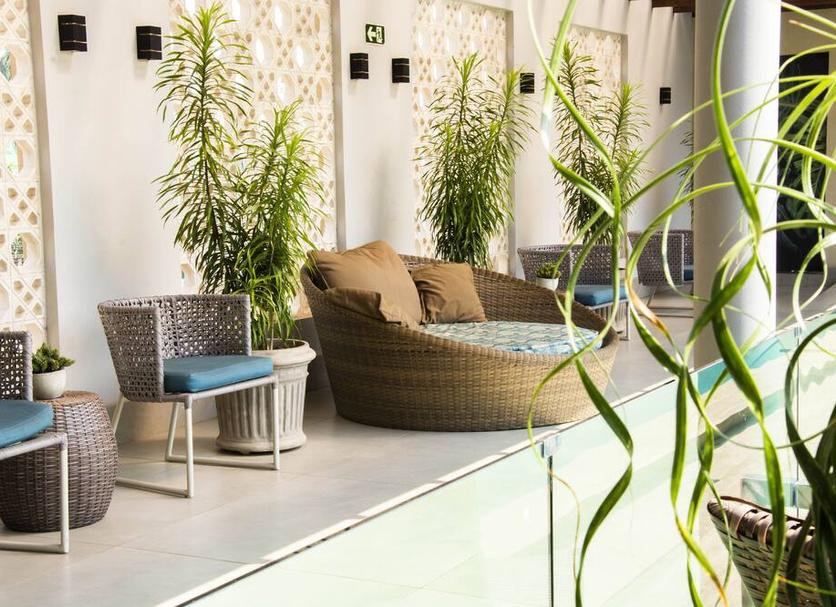 Patio Zdjęcie