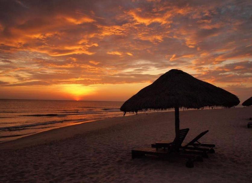 Plaża Zdjęcie