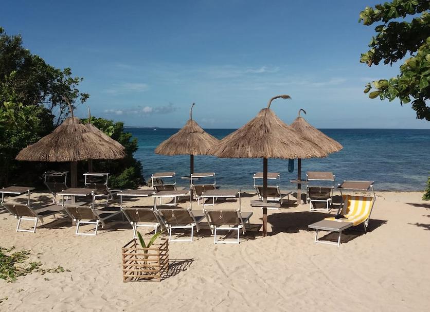 Plaża Zdjęcie