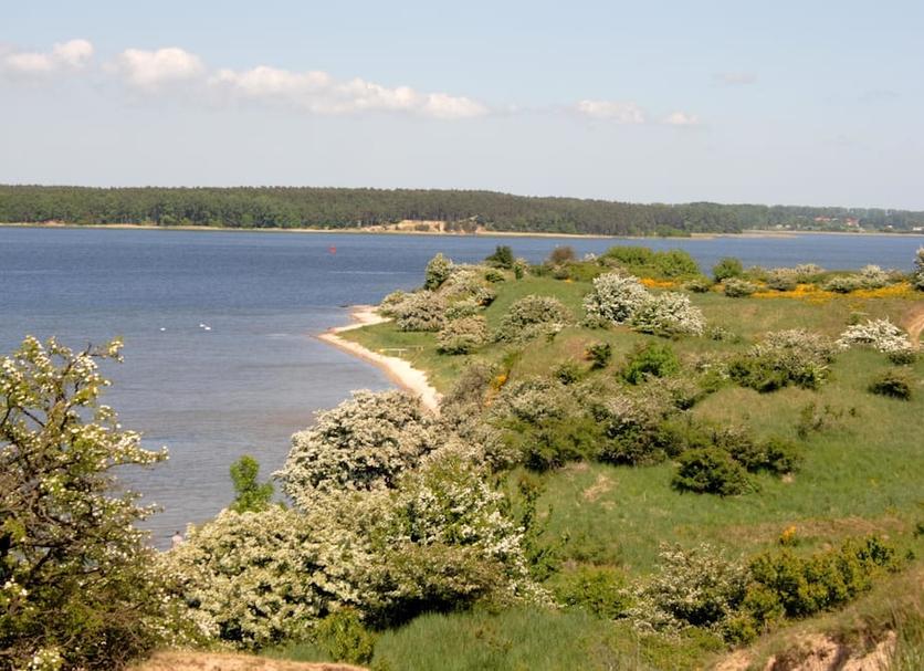 inna Zdjęcie