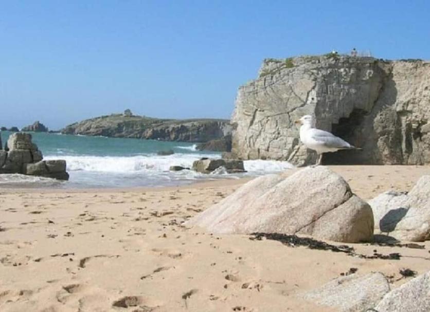 Plaża Zdjęcie