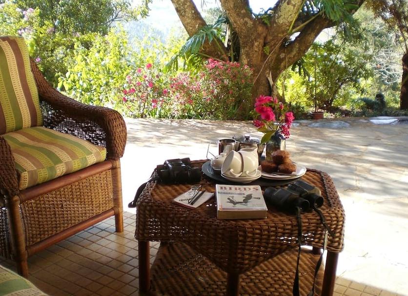 Patio Zdjęcie