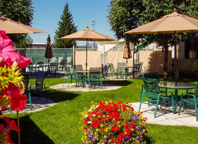 Patio Zdjęcie