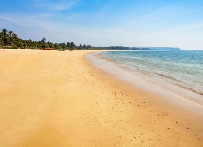 Plaża Zdjęcie