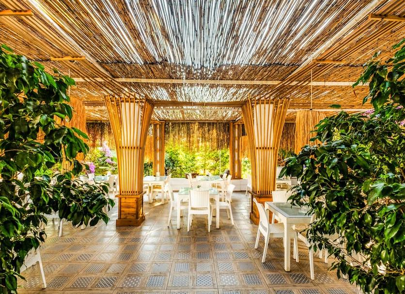 Patio Zdjęcie