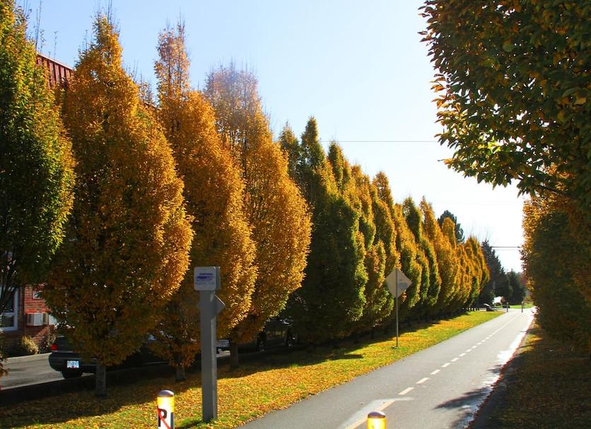 Widok na zewnątrz Zdjęcie
