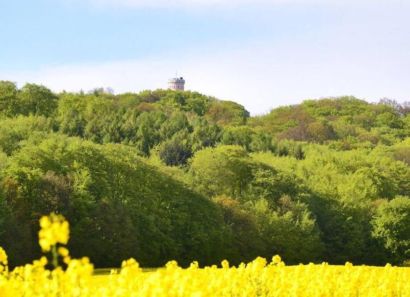 Widok na zewnątrz Zdjęcie