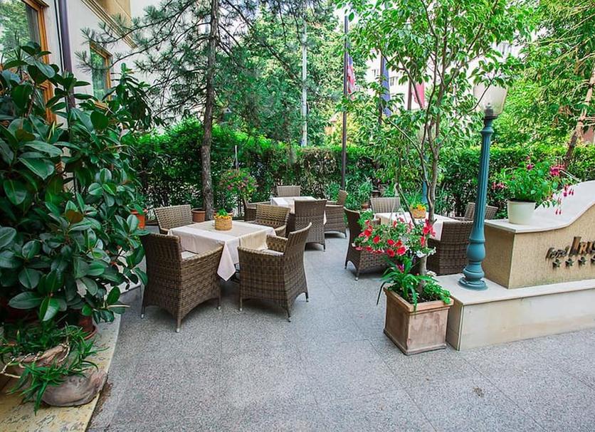 Patio Zdjęcie