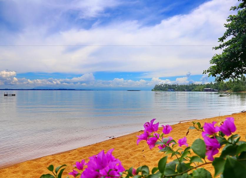 Plaża Zdjęcie