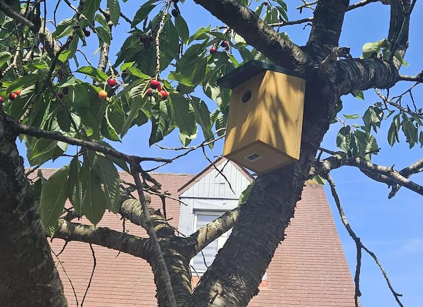 Widok na zewnątrz Zdjęcie