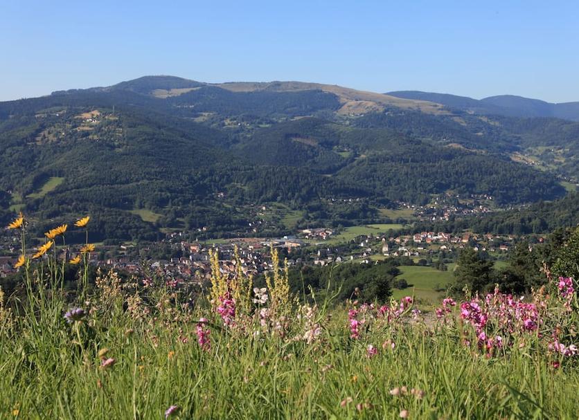 Widok na zewnątrz Zdjęcie