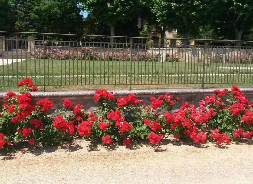 Widok na zewnątrz Zdjęcie