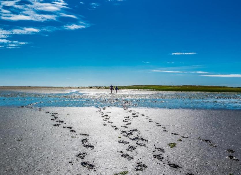Plaża Zdjęcie
