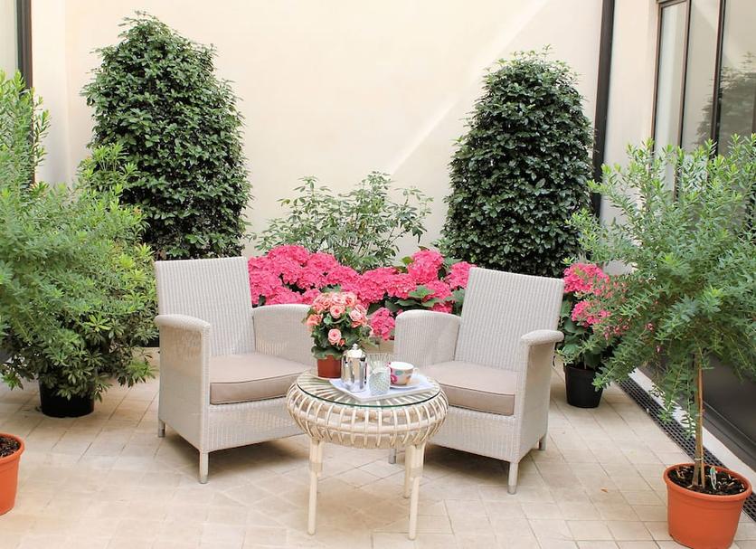 Patio Zdjęcie