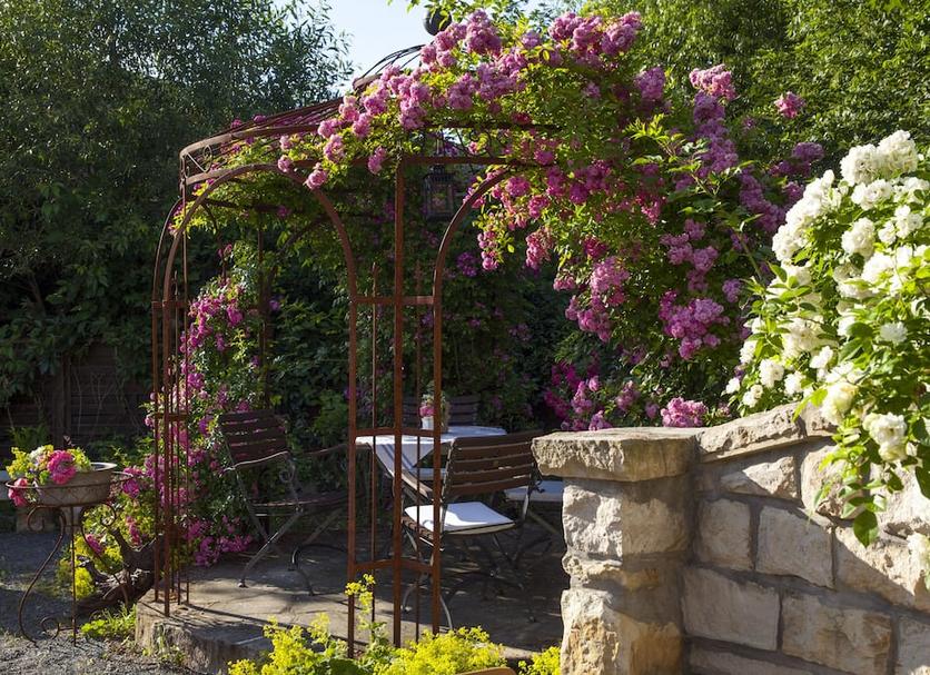 Patio Zdjęcie