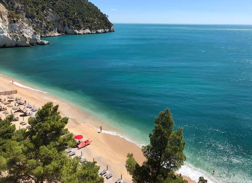Plaża Zdjęcie