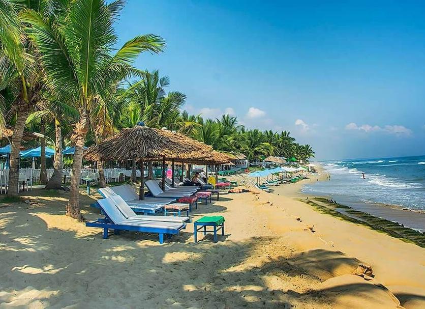 Plaża Zdjęcie