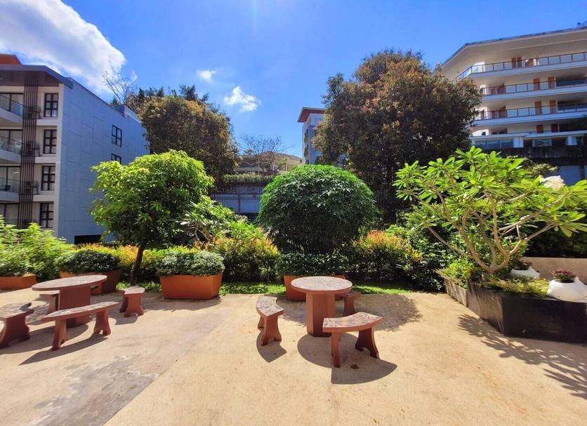 Patio Zdjęcie