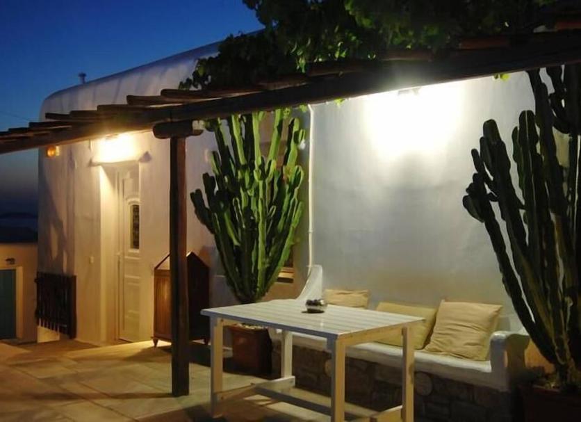 Patio Zdjęcie