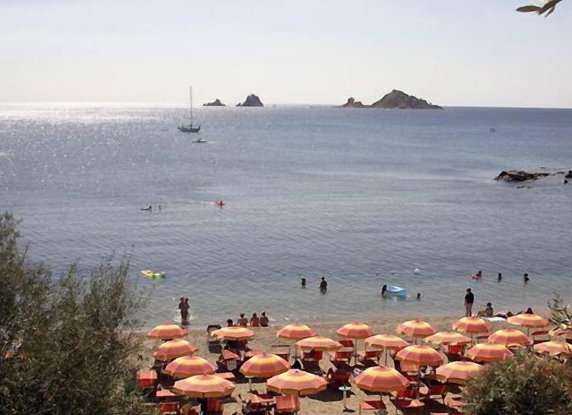 Plaża Zdjęcie