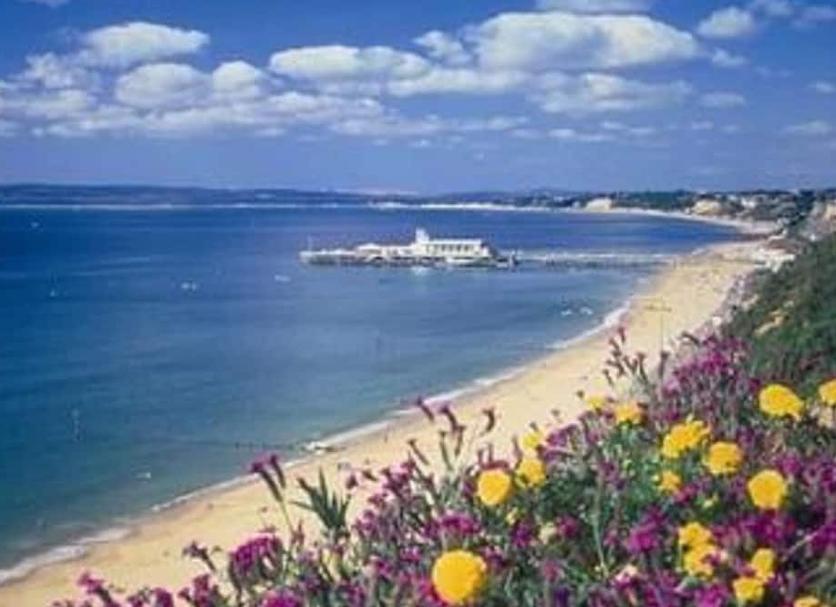 Plaża Zdjęcie