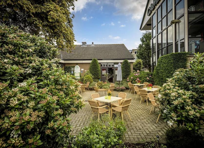 Patio Zdjęcie