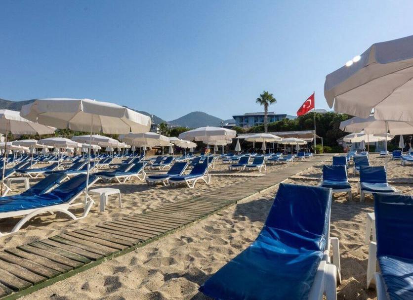 Plaża Zdjęcie