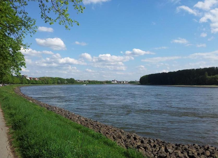 inna Zdjęcie