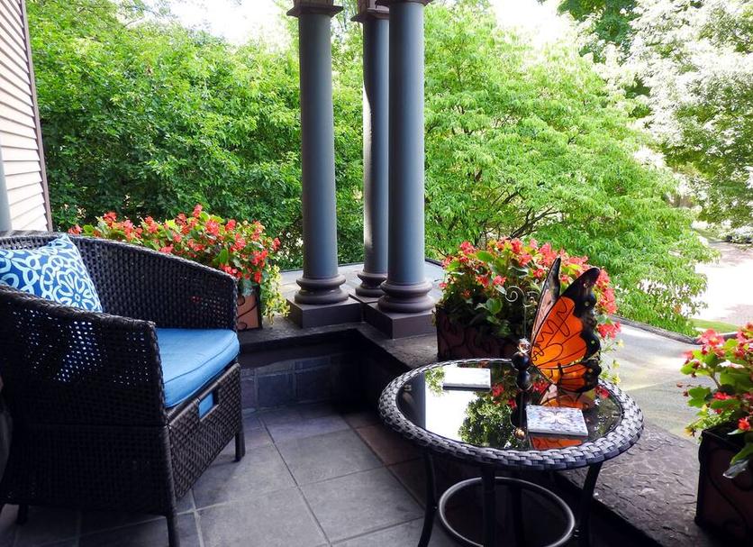 Patio Zdjęcie
